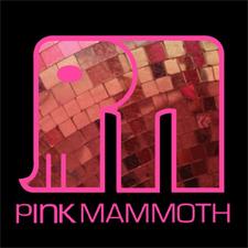 Pink Mammoth Burning Man Lineup