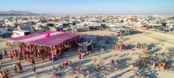 Pink Mammoth Burning Man 2015 - DeeplyMoved