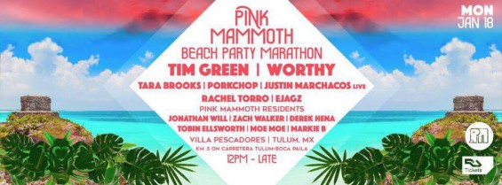 pink-mammoth-tulum-2016-lineup-deeplymoved